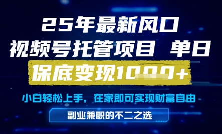 25年最新风口，视频号托管项目，单日保底变现1k+，手把手教学【揭秘】-一起网赚吧
