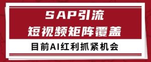 小红书某音sap赛道引流获客 自热矩阵日引200+【揭秘】-一起网赚吧