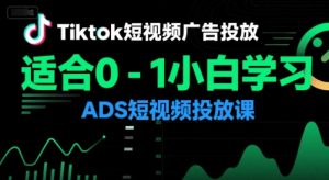 Tiktok短视频广告投放，适合0-1小白学习ADS短视频投放课-一起网赚吧