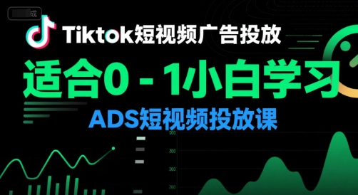 Tiktok短视频广告投放，适合0-1小白学习ADS短视频投放课-一起网赚吧