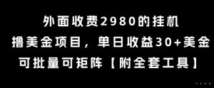 外面收费2980的挂G撸美金项目，单日收益30+美金，可批量可矩阵【揭秘】-一起网赚吧