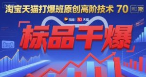 淘宝天猫打爆班原创高阶技术第70期：标品干爆-一起网赚吧