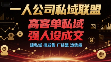 一人公司私域联盟，高客单私域，强人设成交，建私域 搞发售 广结盟 造势能-一起网赚吧