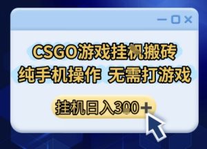 CSGO游戏挂G搬砖，小白纯手机即可操作，不用电脑打游戏，日入3张+，副业网创项目【揭秘】-一起网赚吧