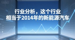 付费文章：行业分析，这个行业，相当于2014年的新能源汽车-一起网赚吧