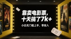 靠卖电影票,十天搞了7k+,小白无门槛上手,零投入【揭秘】-一起网赚吧