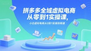 拼多多全域虚拟电商从零到1实操课，小白虚拟电商从0到1实操到精通-一起网赚吧
