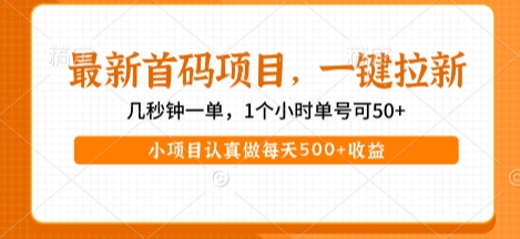 最新首码项目，操作最简单，收益高，一键拉新，1个小时单号可50+，小项目认真做每天5张+收益【揭秘】-一起网赚吧