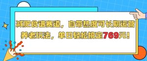 减肥食谱赛道，自带热度可长期运营，养老玩法，单日轻松搞定769-一起网赚吧