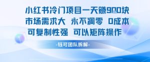 小红书冷门项目一天收益9张，市场需求大，0成本，可复制性强可以矩阵操作-一起网赚吧