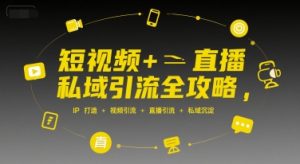 短视频+直播私域引流全攻略，IP打造 +视频引流 +直播引流 +私域沉淀-一起网赚吧