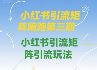 小红书引流矩阵陪跑第三期，小红书引流矩阵引流玩法-一起网赚吧