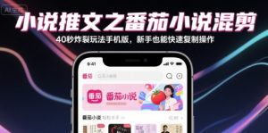 小说推文之番茄小说混剪40秒炸裂玩法手机版，新手也能快速复制操作-一起网赚吧
