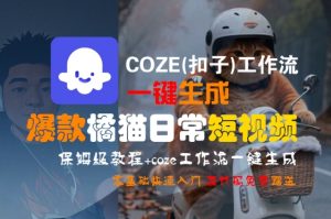 COZE(扣子)工作流一键生成爆款橘猫日常短视频，保姆级教程，零基础快速入门-一起网赚吧