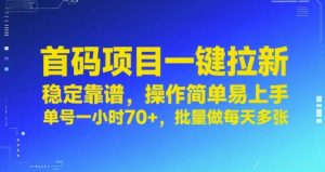 首码项目一键拉新，稳定靠谱，操作简单易上手，单号一小时70+，批量做每天多张【揭秘】-一起网赚吧