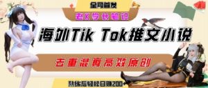 海外tiktok小说推文暴力项目，高停留率，高转化率，上手后一天搞顿饭钱不是问题-一起网赚吧