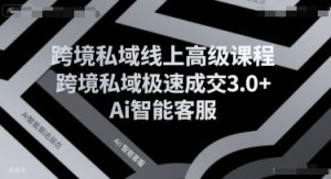 跨境私域线上高级课程，跨境私域极速成交3.0+Ai智能客服-一起网赚吧