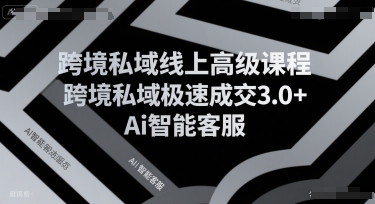 跨境私域线上高级课程，跨境私域极速成交3.0+Ai智能客服-一起网赚吧
