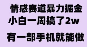 情感暴力掘金项目，新人操作一周挣了2W，长期稳定小白可做【揭秘】-一起网赚吧