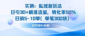 实测私域新玩法日引30加精准流量转化率50%日销5-10单每笔3张-一起网赚吧