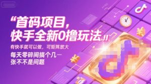 首码项目，快手全新0撸玩法，有快手就可以做，可矩阵放大，每天零碎时间搞个几张不是问题【揭秘】-一起网赚吧