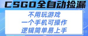 CSGO自动捡漏项目，最新独家玩法，不用挂G不用玩游戏，一个手机即可操作，新手小白轻松月入1W+【揭秘】-一起网赚吧