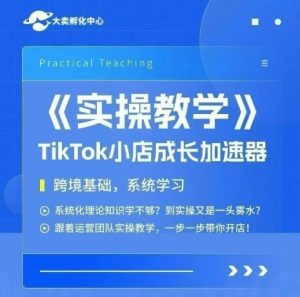 大卖家孵化中心TikTok实操课，TikTok小店成长加速器，跨境基础系统学习，一步一步带你开店-一起网赚吧