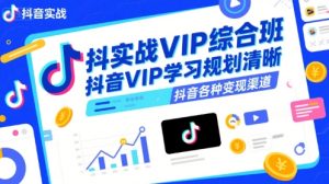 抖音实战VIP综合班,抖音VIP学习规划请晰抖音各种变现渠道-一起网赚吧