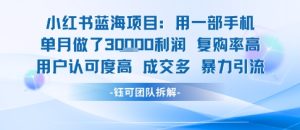 小红书蓝海项目，一部手机单月做了3W利润，小白也能月入过1W用户认可度高成交多-一起网赚吧