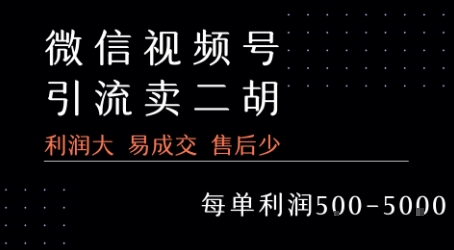 视频号卖二胡教程，利润大 易成交 售后少，一单利润5张+-一起网赚吧