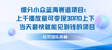 小众蓝海赛道项目：当天变现1k+适合新手操作 +适合长期玩-一起网赚吧