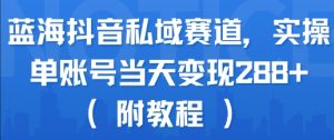蓝海抖音私域赛道，实操单账号当天变现288+(附教程)-一起网赚吧