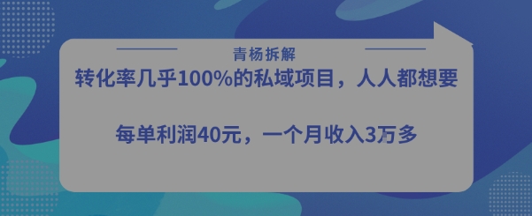 转化率最高的私域项目，每单利润40-50米，月入过1w-一起网赚吧