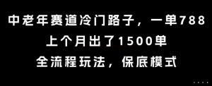 中老年赛道冷门路子，一单788，上个月出了1500单，全流程玩法，保底模式【揭秘】-一起网赚吧
