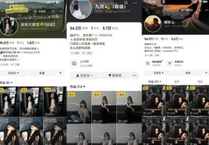 抖音图文文案赛道新玩法,快速养号起号,广告收益分成+橱窗带货+教学收徒等-一起网赚吧