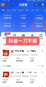 抖音短视频一刀不剪带货，不剪辑，不直播，每天发个视频，等着出单获取带货佣金-一起网赚吧