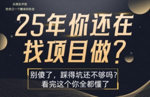 25年，你还在疯狂的找项目吗？别傻了，看完这个你都懂了【揭秘】-一起网赚吧