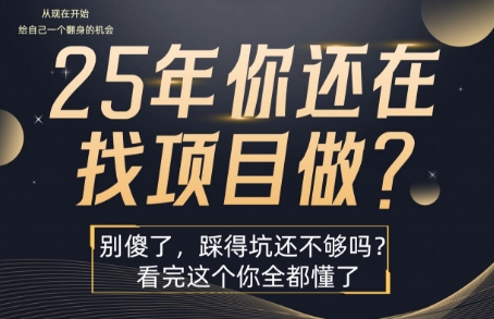 25年，你还在疯狂的找项目吗？别傻了，看完这个你都懂了【揭秘】-一起网赚吧