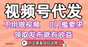 视频号代发，不用剪辑不用做视频，0门槛要求，领取发布就有收益，任务没有无上限，小白轻松上手【揭秘】-一起网赚吧