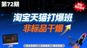 淘宝天猫打爆班原创高阶技术第72期，非标品干爆-一起网赚吧