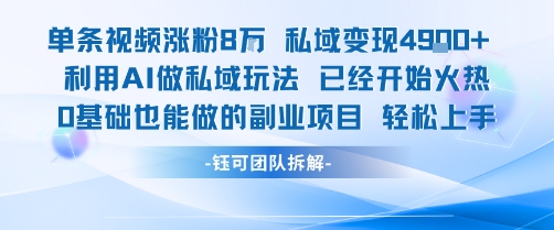 单条视频私域变现4.9k+利用AI做私域玩法 已经开始火热0基础也能做的副业项目轻松上手-一起网赚吧
