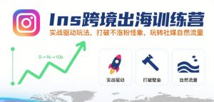 Ins跨境出海训练营，实战驱动玩法，打破不涨粉怪象，玩转社媒自然流量-一起网赚吧