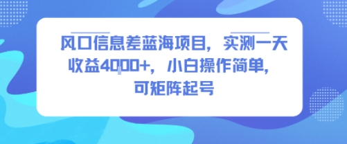 风口信息差蓝海项目，实测一天收益4k+，小白操作简单，可矩阵起号-一起网赚吧