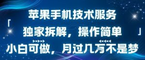 苹果手机技术服务，独家拆解，操作简单，小白可做，月过1W不是梦-一起网赚吧