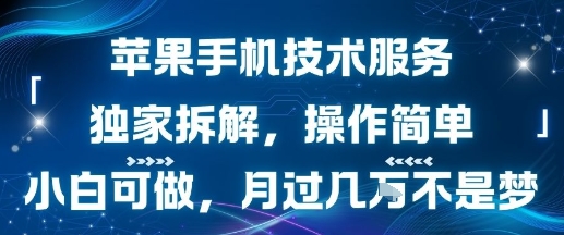 苹果手机技术服务，独家拆解，操作简单，小白可做，月过1W不是梦-一起网赚吧