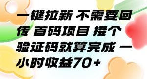 一键拉新 不需要回传 首码项目 接个验证码就算完成 一小时收益70+【揭秘】-一起网赚吧