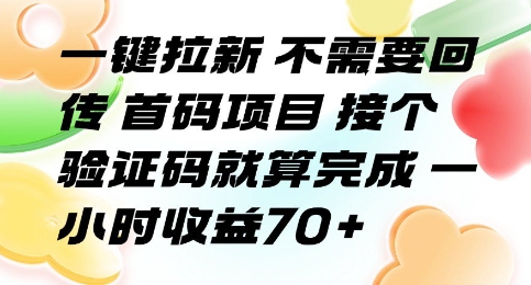 一键拉新 不需要回传 首码项目 接个验证码就算完成 一小时收益70+【揭秘】-一起网赚吧