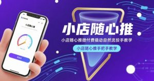 小店随心推微付费撬动自然流投手教学,小店随心推手把手教学-一起网赚吧