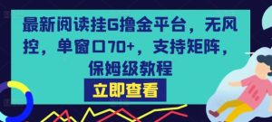 最新阅读挂G撸金平台，无风控，单窗口70+，支持矩阵，保姆级教程【揭秘】-一起网赚吧