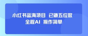 小红书蓝海项目，全程AI，操作简单，已挣五位数-一起网赚吧